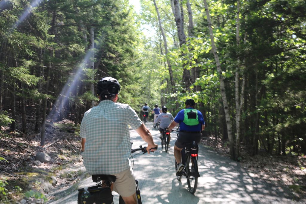E-bike tour group riding along a sun-dappled carriage road through dense forest in Acadia National Park