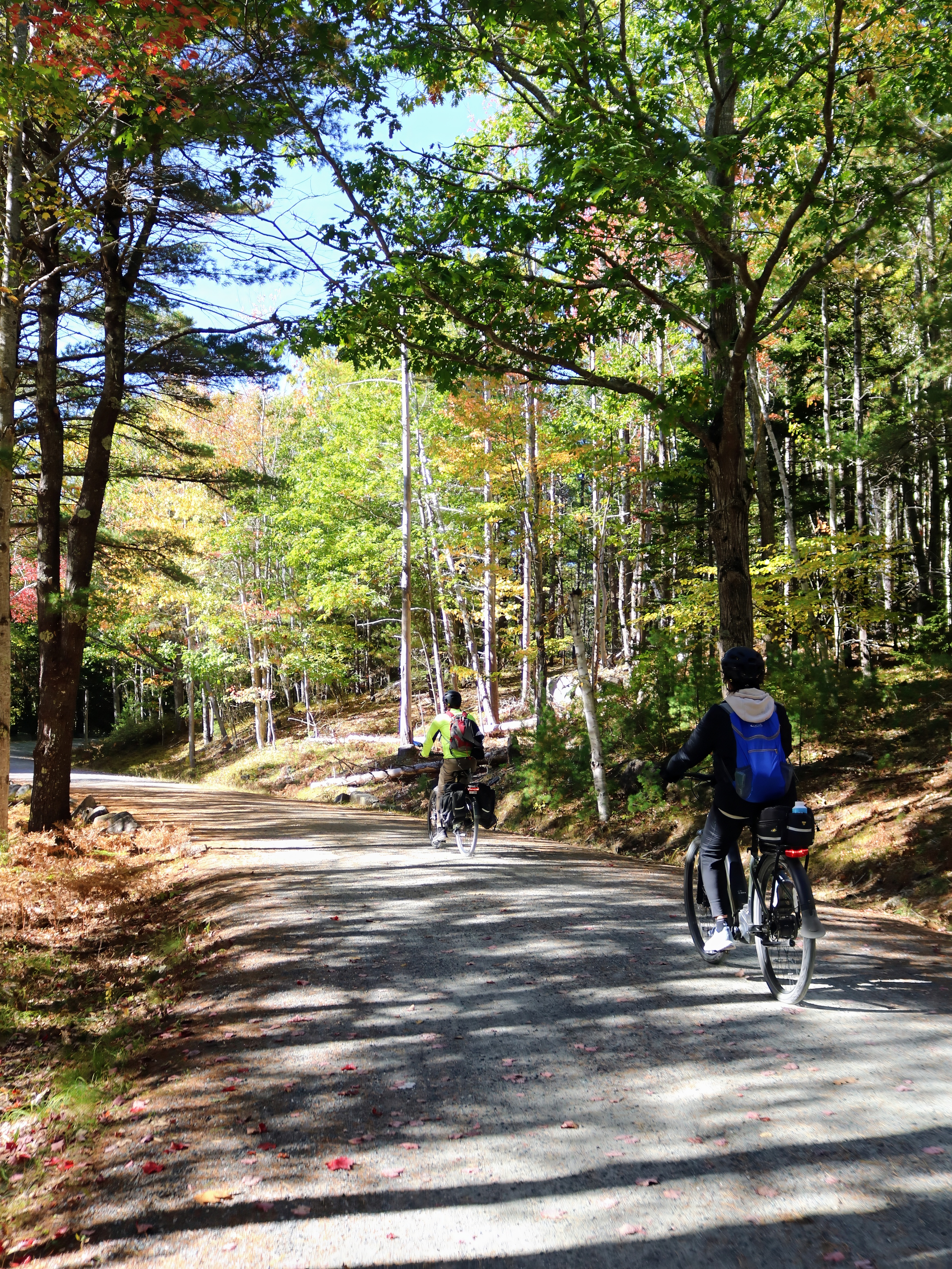 E-bikers on a curving carriage road