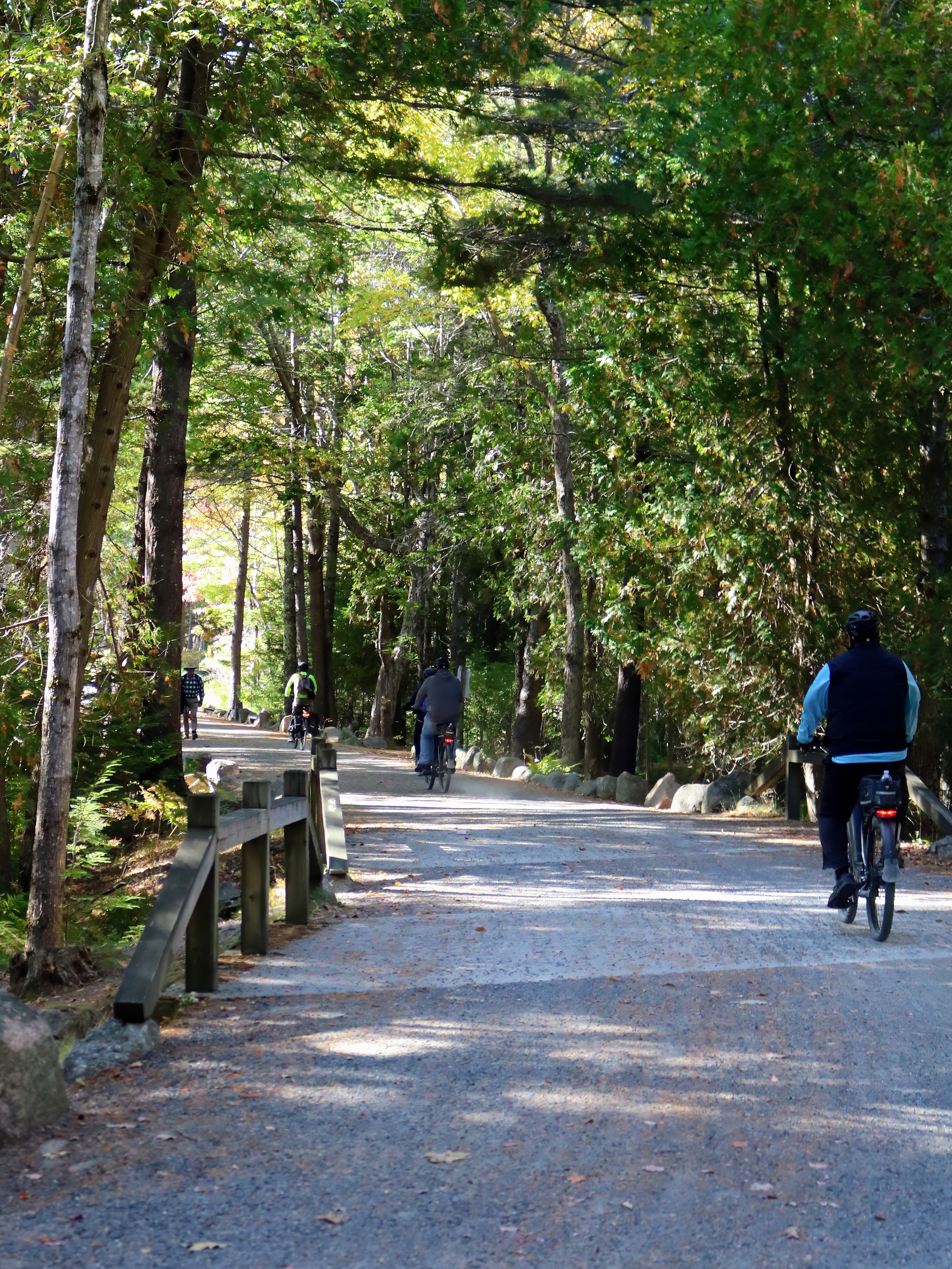 E-biking on a carriage road near Eagle Lake in fall in Acadia National Park