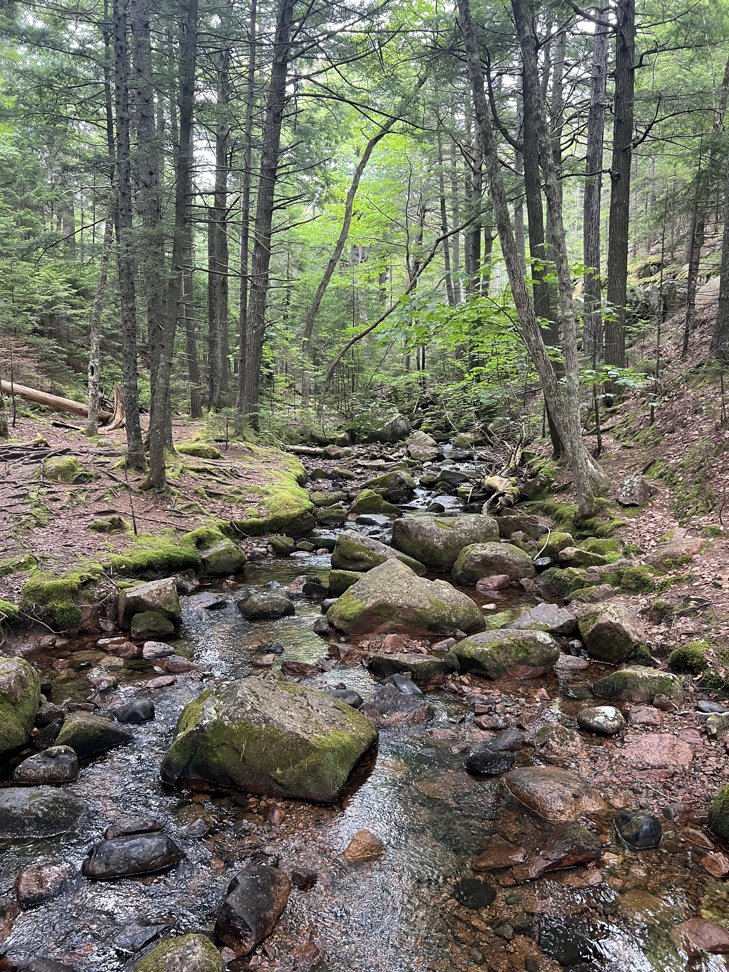 Where to Eat on Mount Desert Island